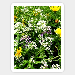 White, Lavender and Yellow Wild Flowers Sticker